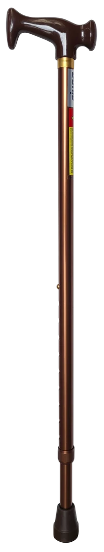 Elegant Handle Cane, close-up detail (image 5)