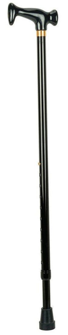 Elegant Handle Cane
